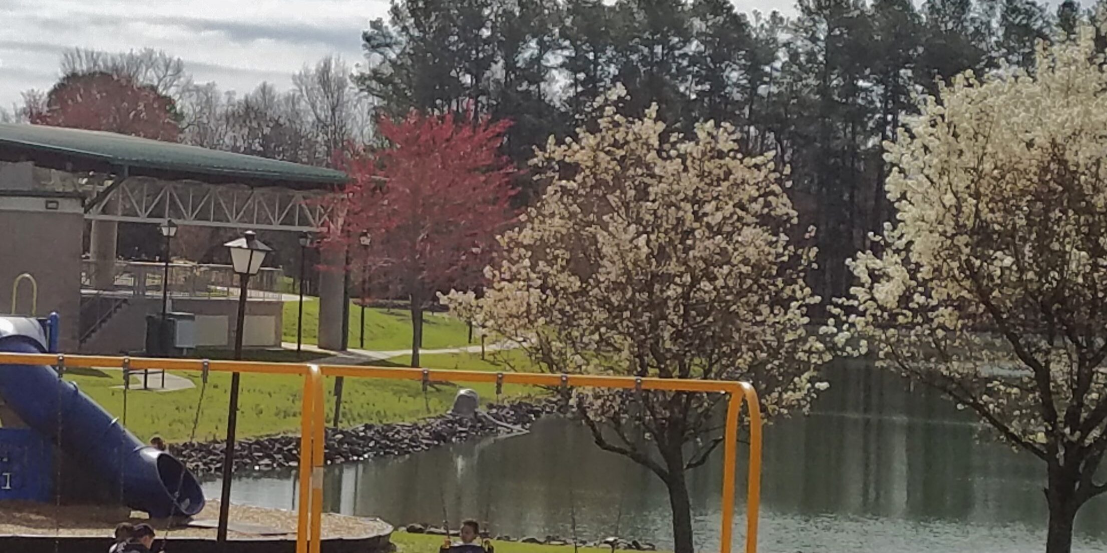 Community cropped edited Belle Johnson - Pineville