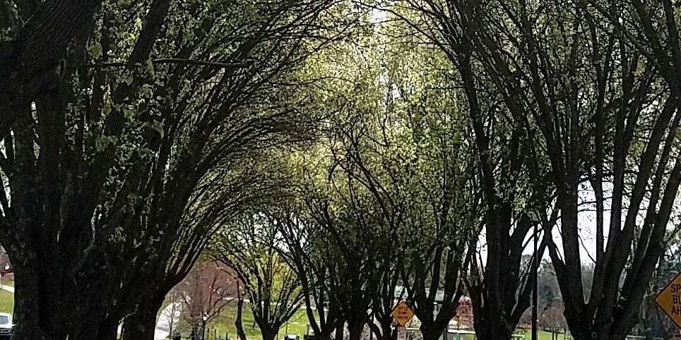 Park Entrance Cropped Edited 2 Park Entrance Cropped Edited 2
